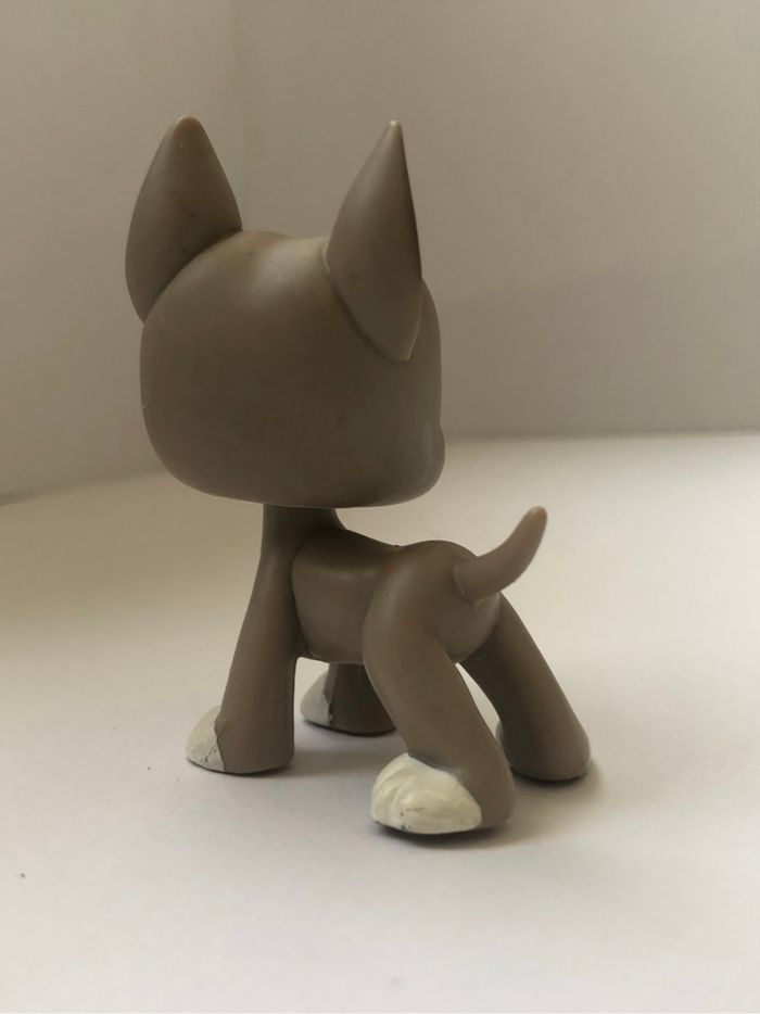 Pet shop : danois #184 - photo numéro 3