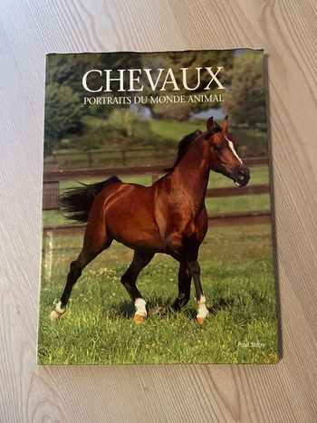 Livre chevaux portraits du monde animal