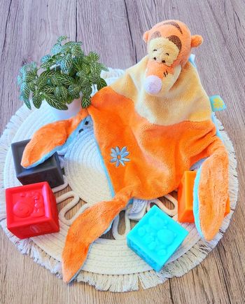 Doudou Tigrou Lange Disney Orange & Bleu