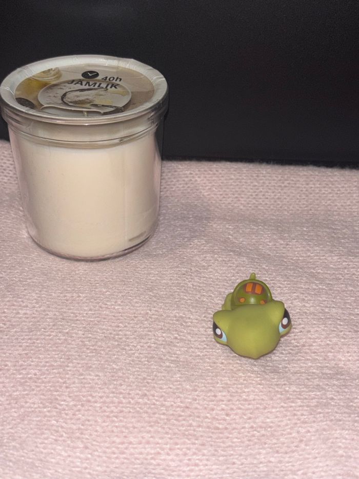 tortue #8 - photo numéro 2