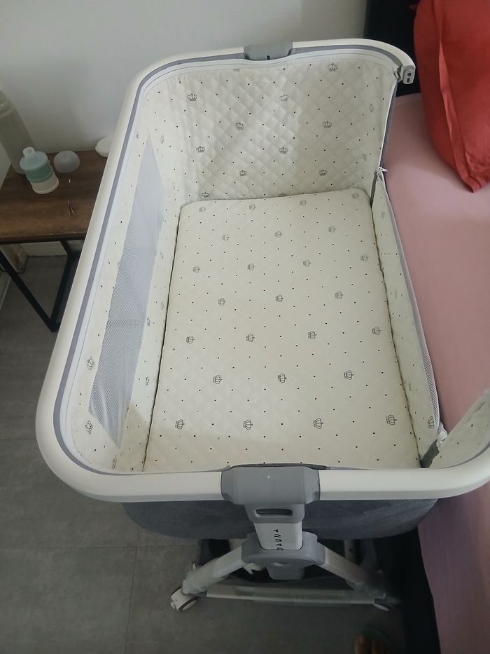 Cododo - photo numéro 3