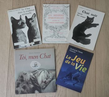 Le chat dans la tradition spirituelle
