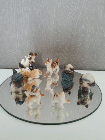 Collection de chat🌲🌼