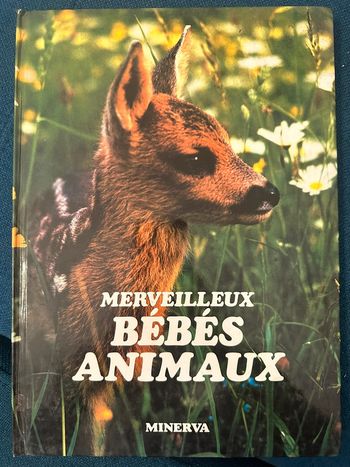 Livre album Merveilleux Bébés animaux Minerva