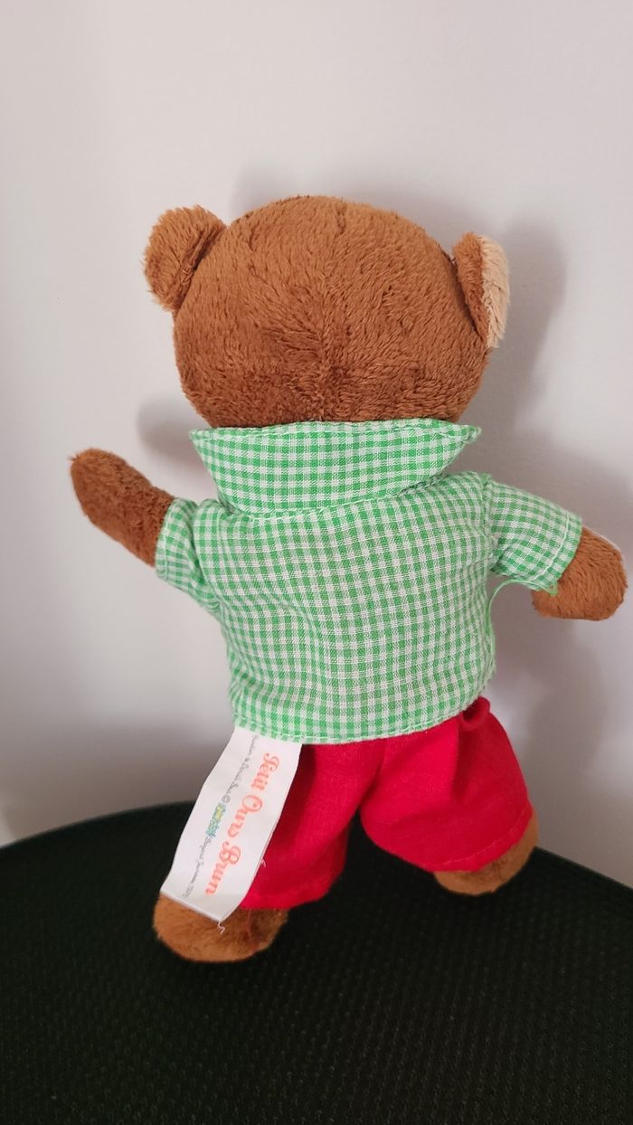 Petit ours brun - photo numéro 6