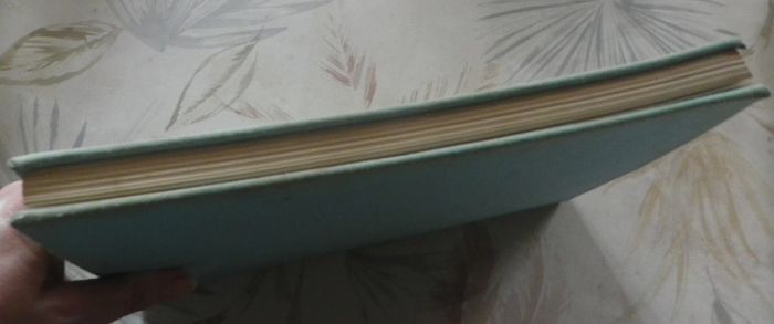 Le livre de la Vierge par Bertrand Guégan Ed. Arts et Métiers Grraphiques - photo numéro 4