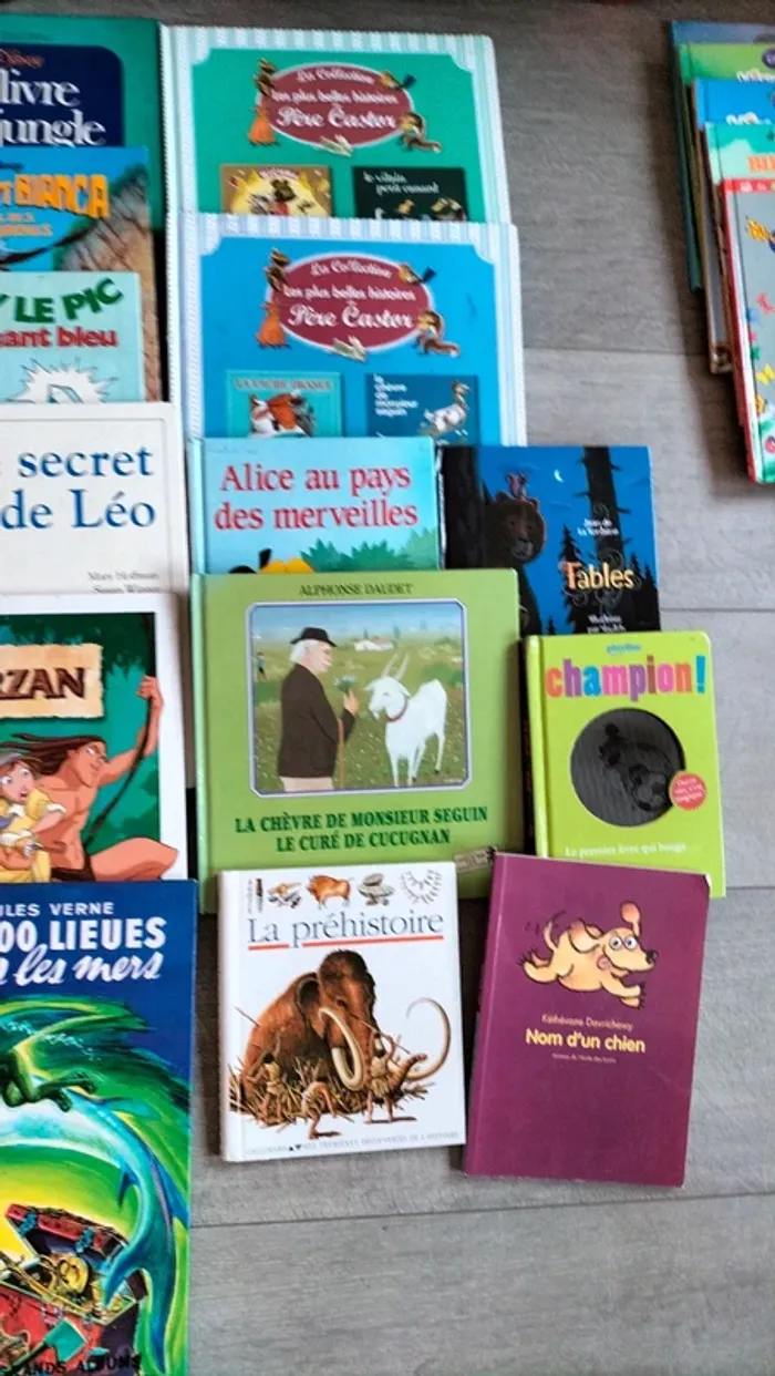 Lot livres enfant - photo numéro 4