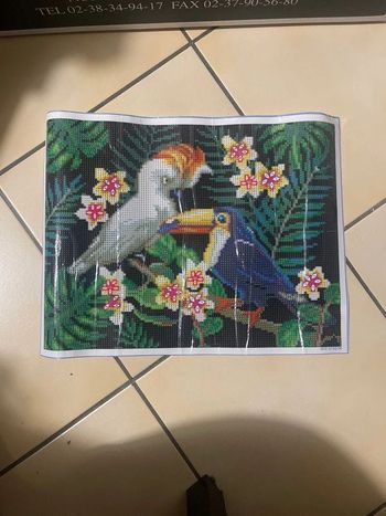 Toile Diamond Painting 30x40cm n°57