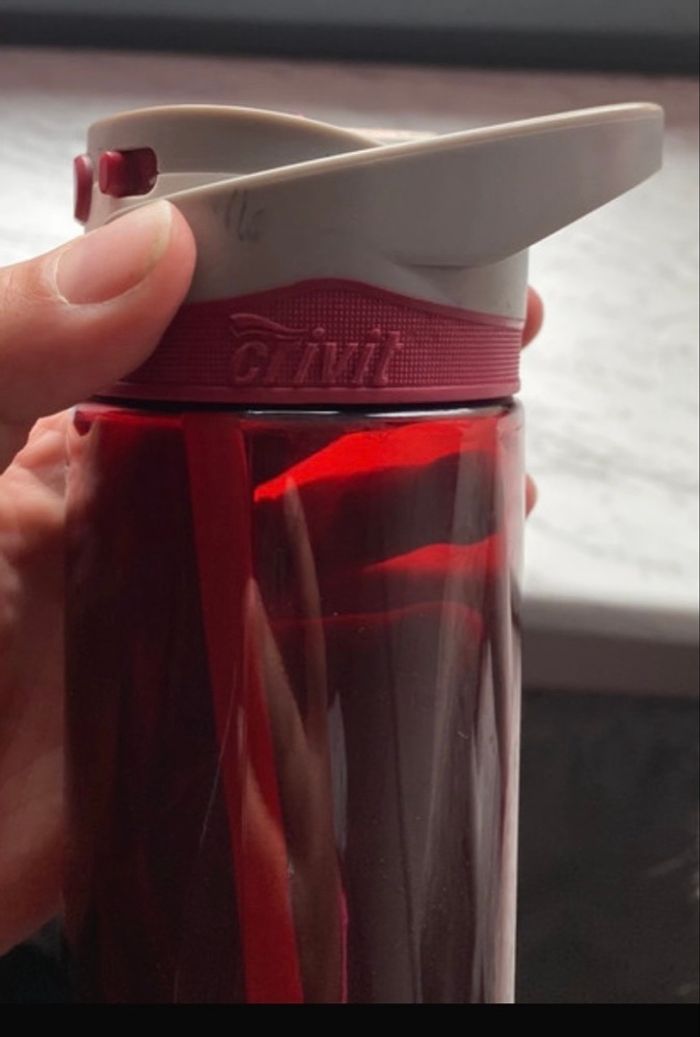 Gourde - photo numéro 2