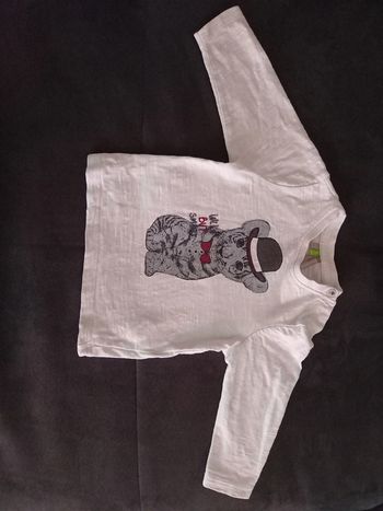 Pull/ t-shirt manches longues 9 mois