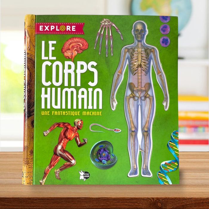Livre éducatif illustré grand format + poster géant - Le corps humain