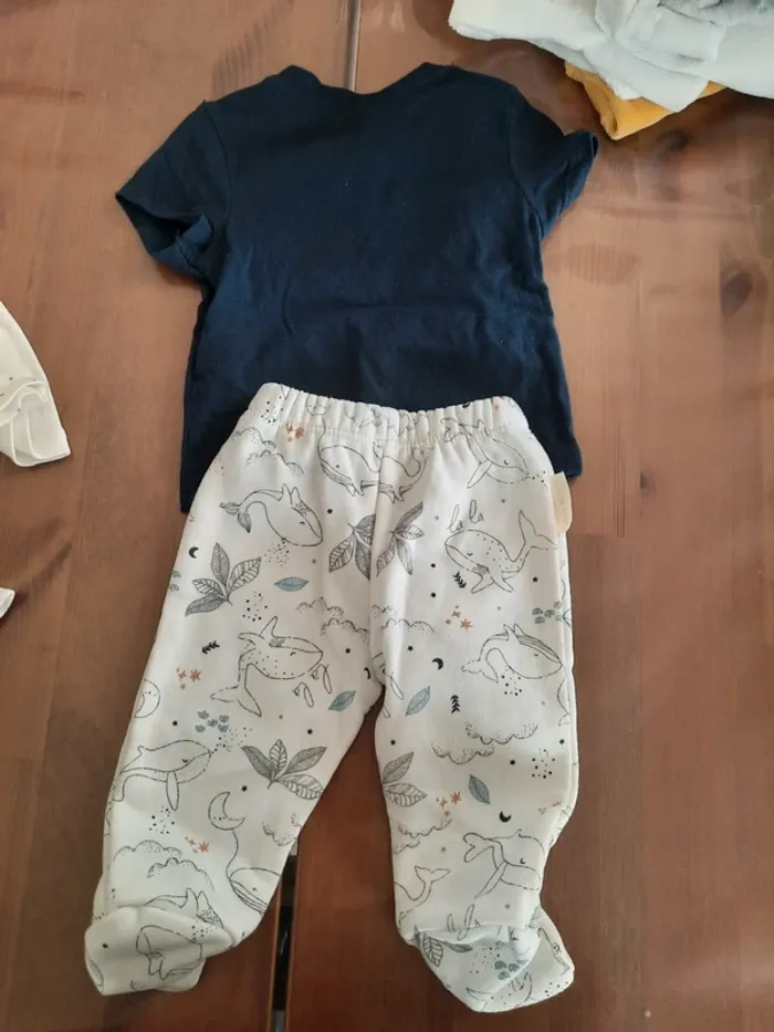 1 mois mixte - photo numéro 2
