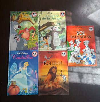 Lot de livres Disney