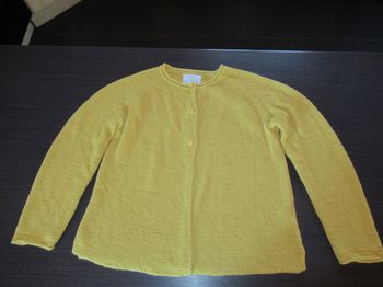 Gilet fille Zara 12 ans