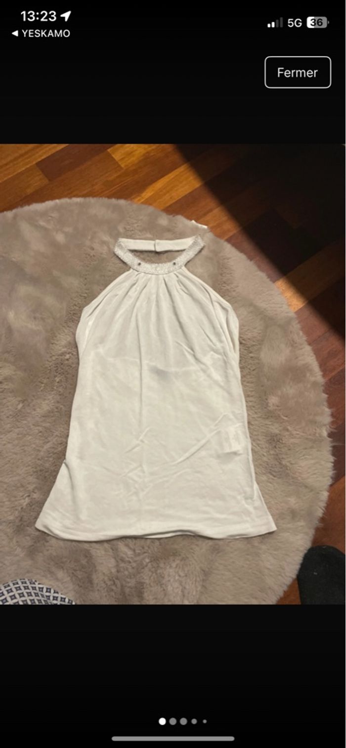 Dos nu Morgan - photo numéro 4