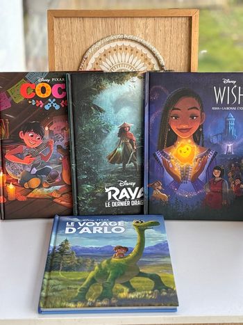 Livres Disney cinema l’histoire du film