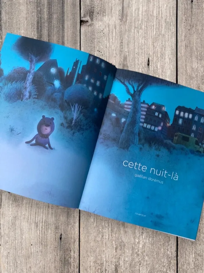 Livre enfant dès 4 ans – Cette nuit-là de Gaëtan Dorémus – Très bon état - photo numéro 3