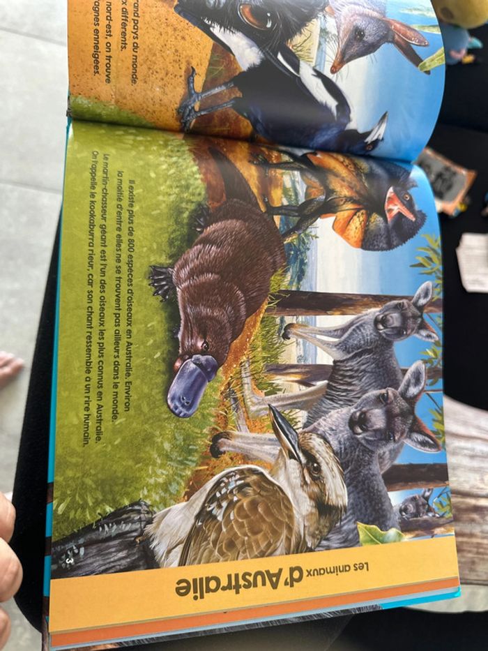 Livre les animaux du monde - photo numéro 2
