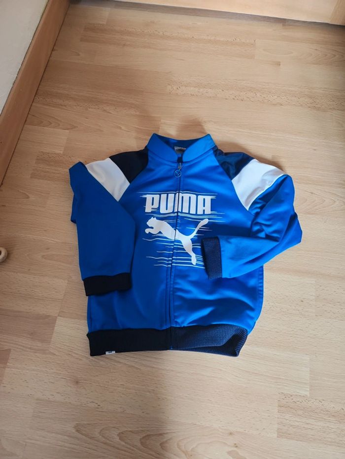 Veste puma