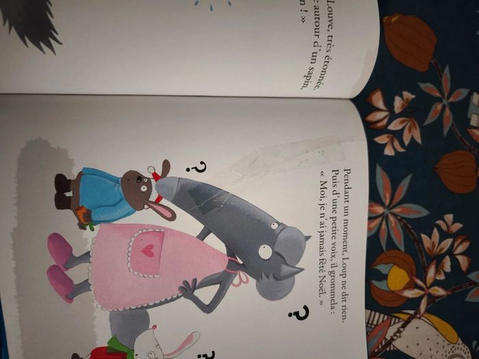 Lot livres le loup - photo numéro 6