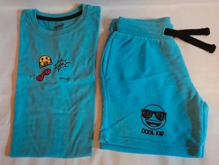 Ensemble short et tee-shirt lupilu