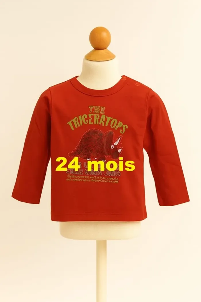 Tee shirt manche longue rouge motif dinosaure Kid Kanaï Taille 24 mois
