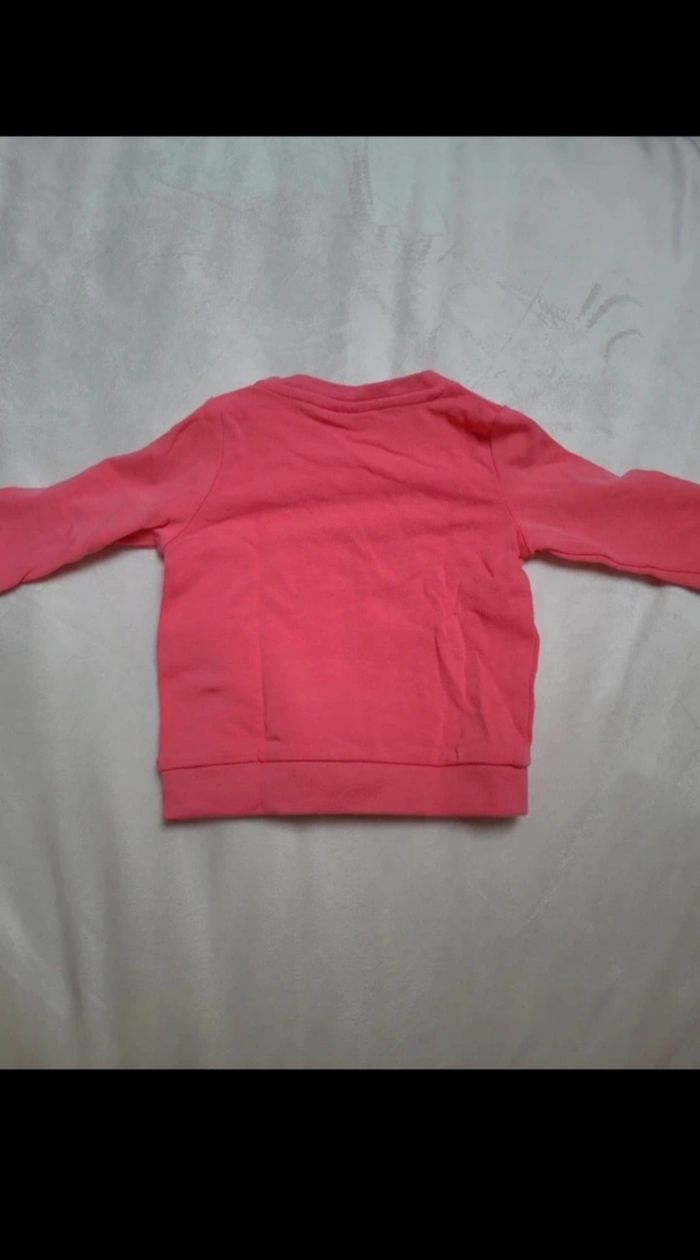 Survetement - photo numéro 5