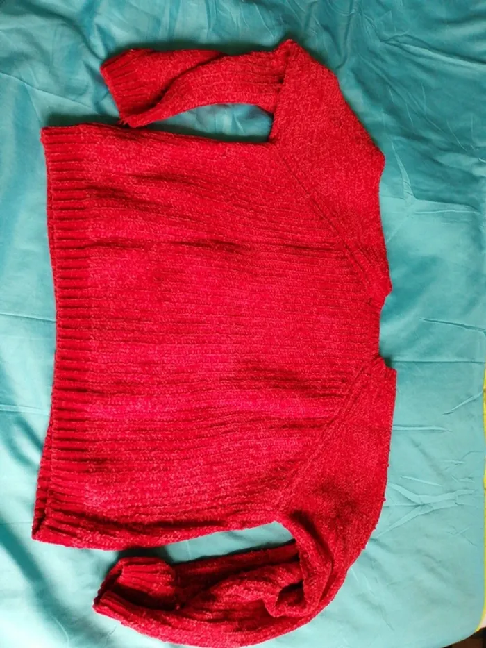 Pull, maille chenille - photo numéro 5