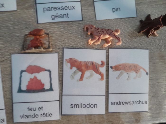 figurines + fiches nomenclature Montessori - la préhistoire - photo numéro 4