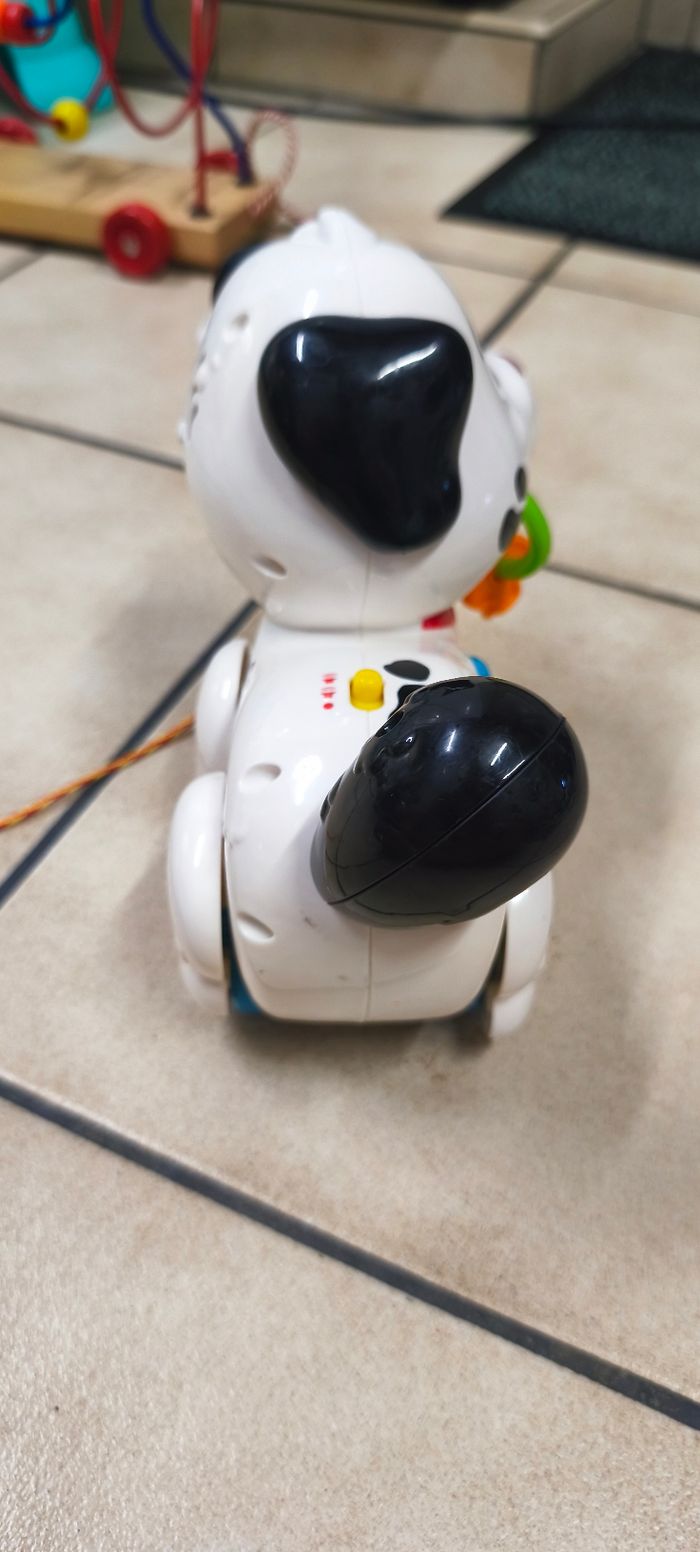 Chien a tirer - photo numéro 7