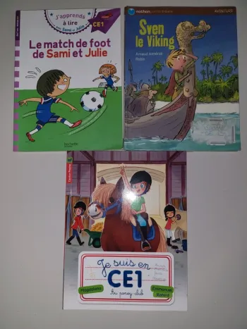 Lot de 3 livres Ce1