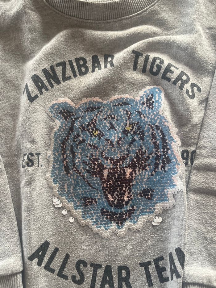 Sweat garçon gris - photo numéro 2