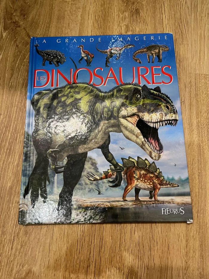 Livre sur les dinosaures 🦖