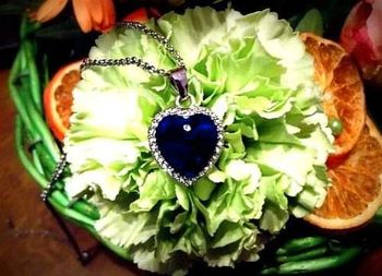 Collier cœur de l océan neuf