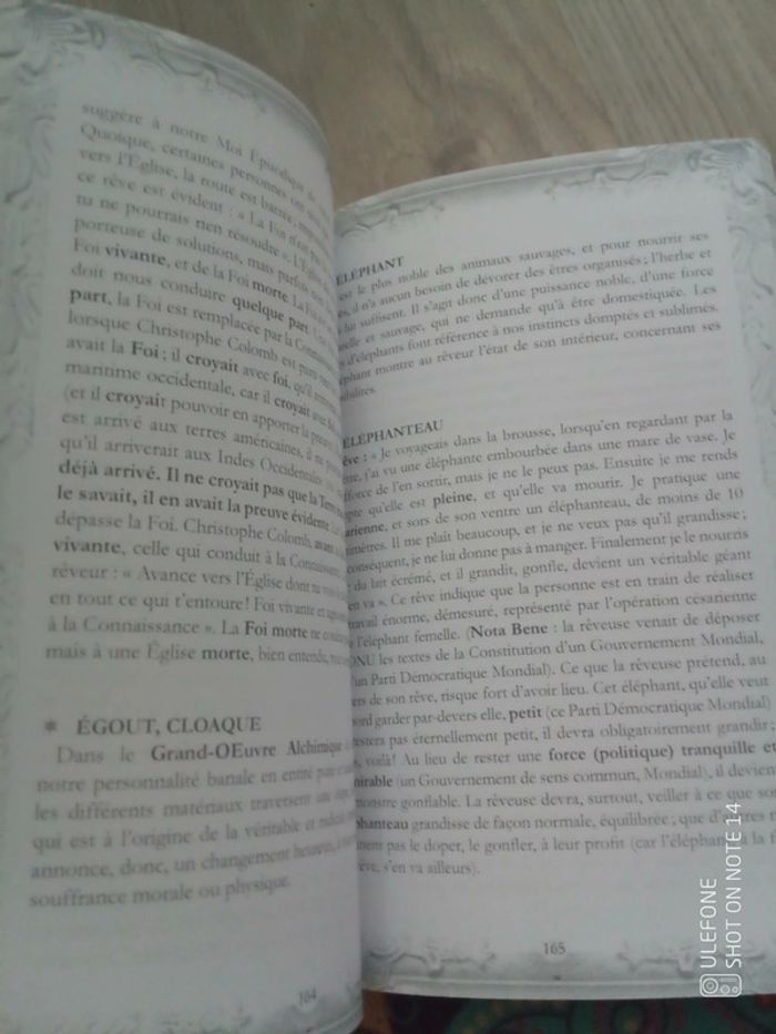 LE grand livre des rêves Haziel - photo numéro 5