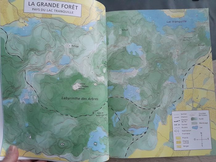 grand album école des loisirs - La grande forêt - le pays des chintiens - photo numéro 2