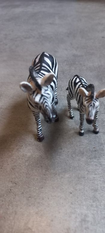 Zèbre et son petit schleich
