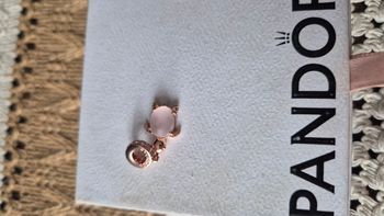 Charm pandora tortue