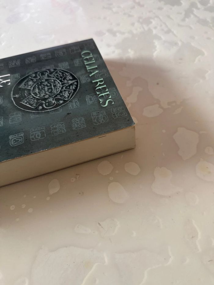 Livre le testament de stone - Celia rees - photo numéro 3