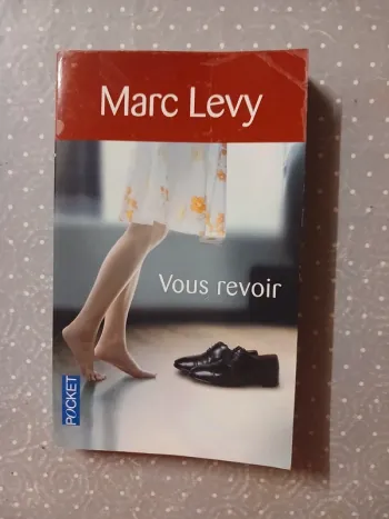 Livre Vous revoir 