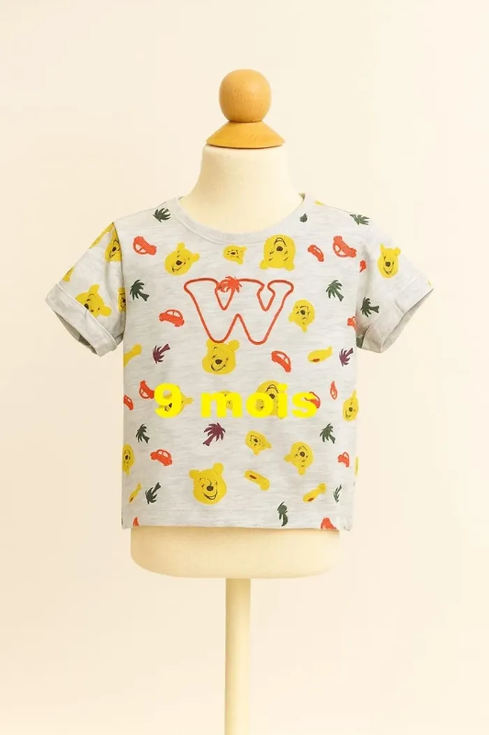 Tee shirt manche courte gris motif Winnie Disney Baby Taille 9 mois