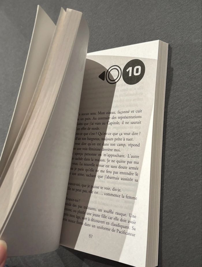 Livres  Hunger Game - photo numéro 10