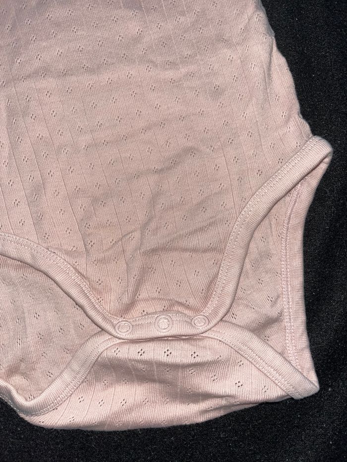 Bodie 18 mois - photo numéro 2