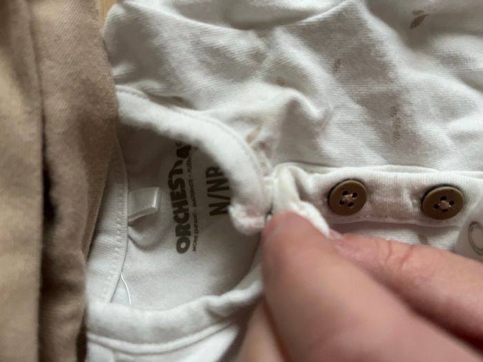 Ensemble Orchestra - photo numéro 2