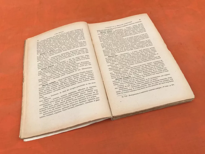 Dr Paul Carton L' Art Médical (1943) L' individualisme des règles de santé L' orientation sanitaire - photo numéro 8