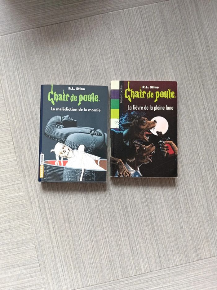 Livre Chair de poule