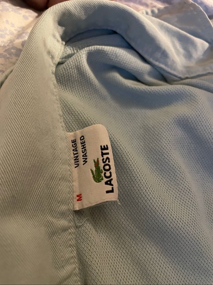 Polo Lacoste bleu - photo numéro 2