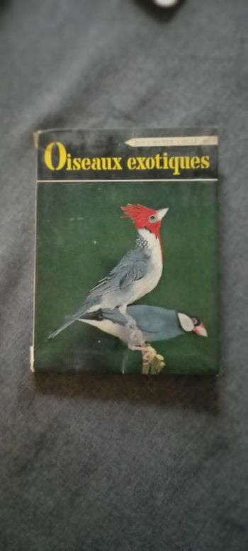 Oiseaux exotiques
