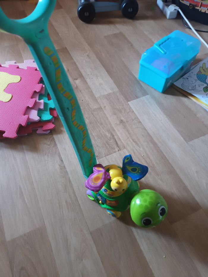 Pousse pousse tortue - photo numéro 2