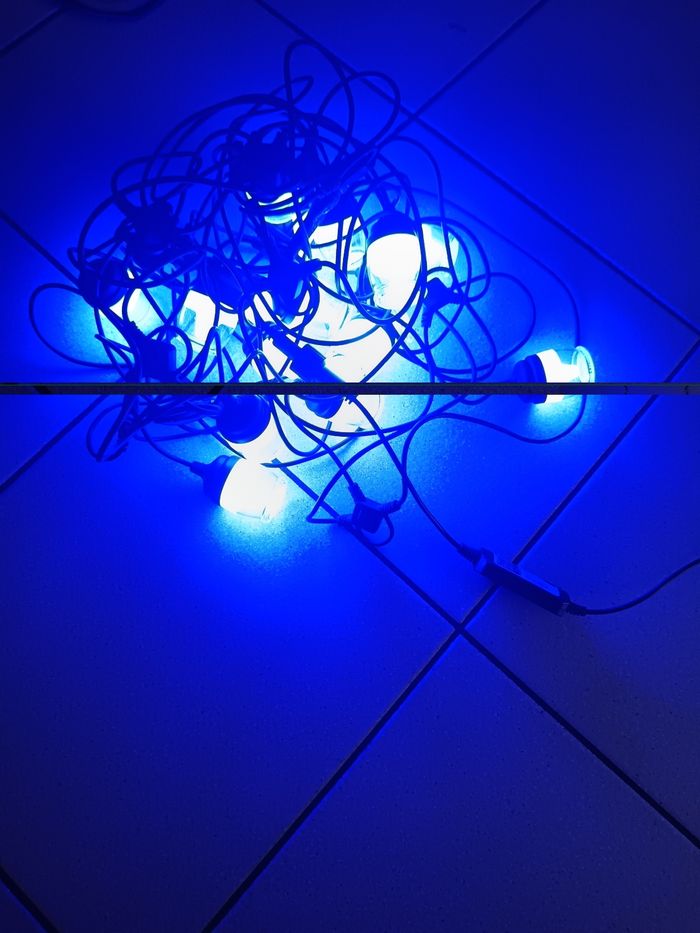 Guirlande intelligente neuve - photo numéro 7